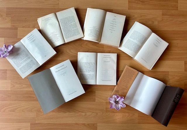 Libri: Henning Mankell "Wallanders erster Fall", "Hunde von Riga".. – Usato da Bern venduto da Denzel8 7