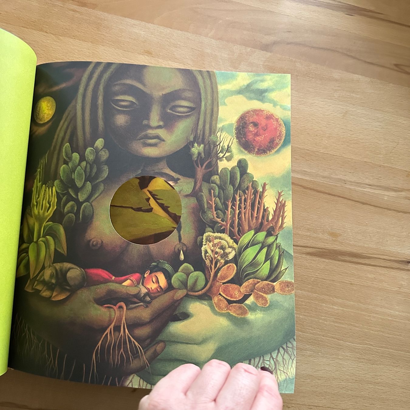 Libri: FRIDA - Benjamin Lacombe, Sébastien Perez – Nuovo (secondo la descrizione) da Sax venduto da kaulquappe01 4