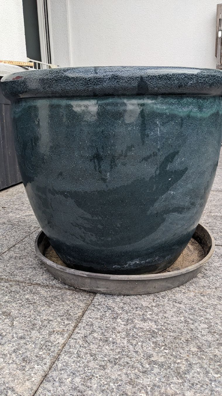 Blumentöpfe: schöner grosser Topf – Gebraucht aus Romanshorn von chaanem
