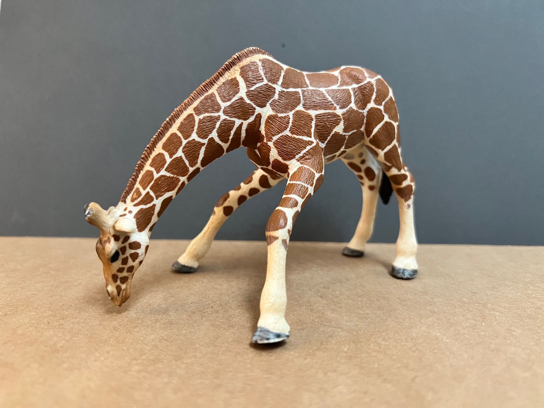 Schleich Statuette: Schleich Giraffe Giraffenkuh, saufend – Usato da Ennetbaden venduto da mapa05 2