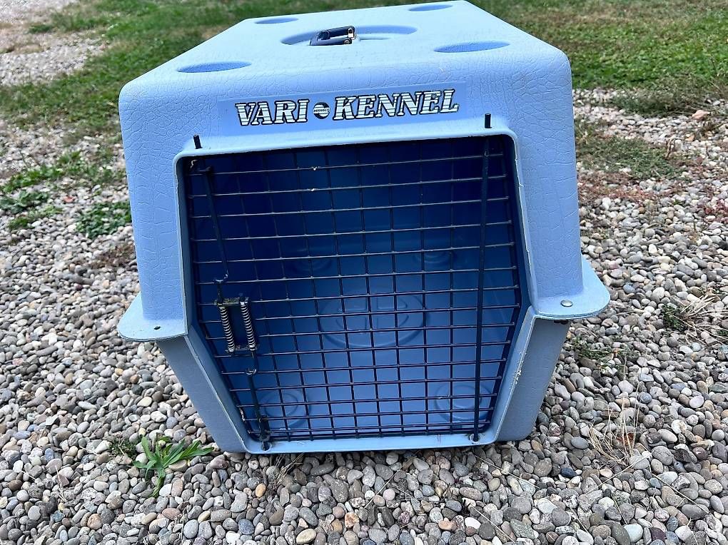 Gabbie, trasporto & Sicurezza: Stabile Hundeboxe mit festem Gitter – Usato da Rheinsulz venduto da Perola 3