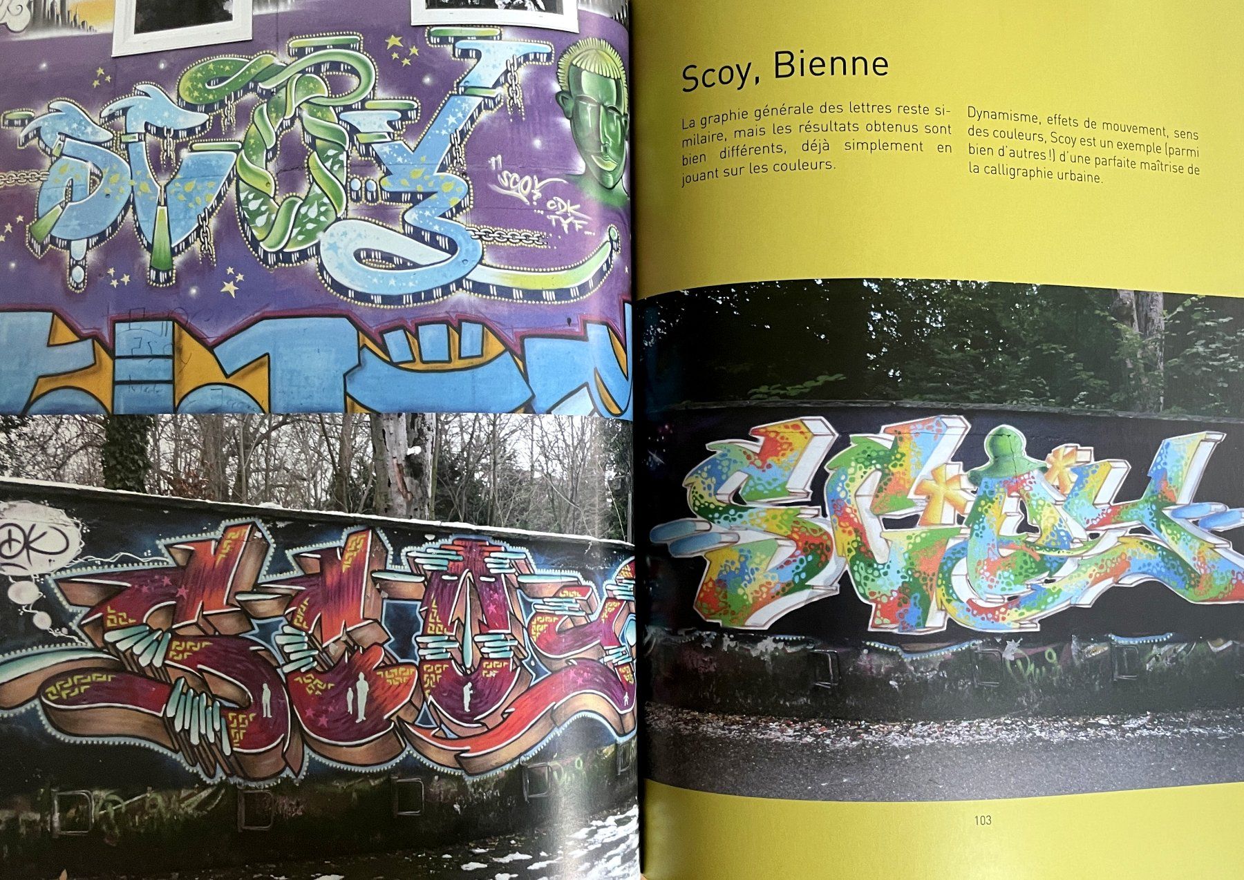 Livres: Les plus beaux graffitis de Suisse – D'occasion à Savagnier par Ne2065 7
