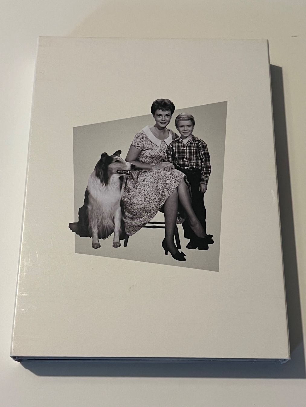 Tutti i DVDs: Lassie - Seine spannendsten Abenteuer - DVD Box – Usato da Altstätten SG venduto da sheamus 5