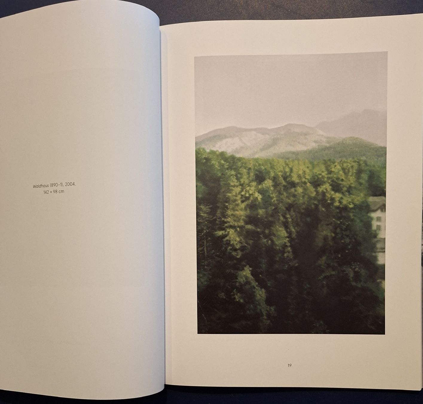 Libri: Gerhard Richter Engadin Buch mit Text Dieter Schwarz – Nuovo (secondo la descrizione) da Niederglatt ZH venduto da Siegfried67 4