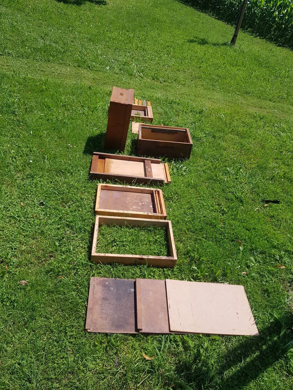 Bienenhäuser: Bienenbeute Magazin CH Mass – Gebraucht aus Grosswangen von  1