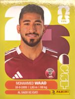 Carte FIFA World Cup 2026 QAT 14