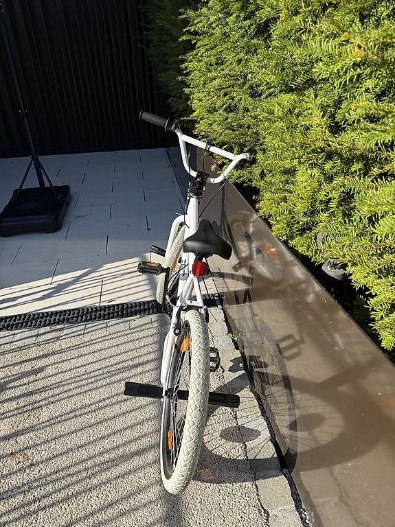Biciclette: BMX  – Usato da Erlenbach ZH venduto da mal_qvk6 2
