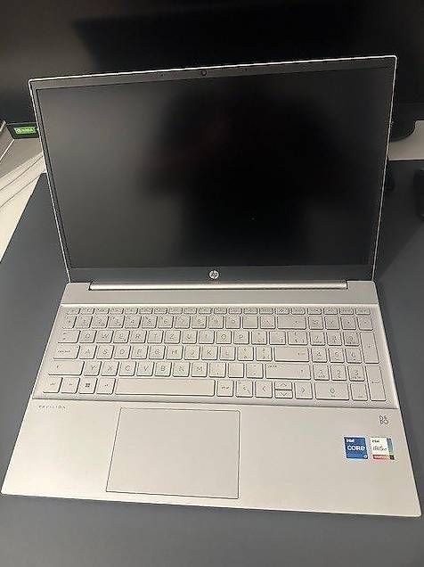 Notebook: Laptop, HP PAV, 15 Zoll – Usato da Triengen venduto da ramseier2012 3