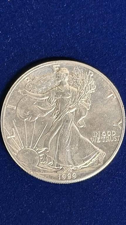 Tutti le monete: American Silver Eagle 1989  1 oz Feinsilber – Usato da Lohn-Ammannsegg venduto da FoxTub 1