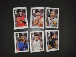 🔥6er Set Panini Coca-Cola WM 2026