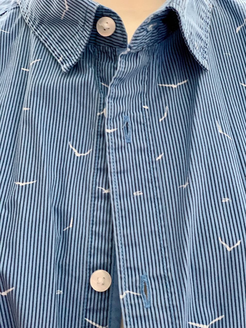 Esprit Hemden: Esprit Herren Hemd Blau Gr. L mit Muster Möwen Sommer – Gebraucht aus Engelburg von mamalanima 2