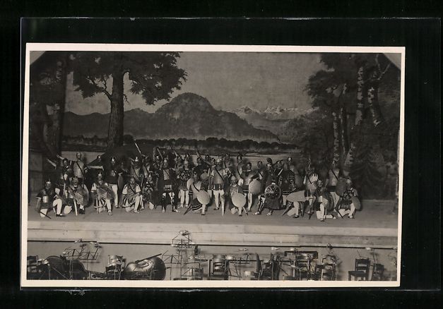 Cartoline postali: Wetzikon, Bez. Gesangsfest 1925, Festspi – Usato da Berlin venduto da bartko-reher