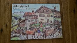 Buch bergheut erlebniss einer bauernfamilie