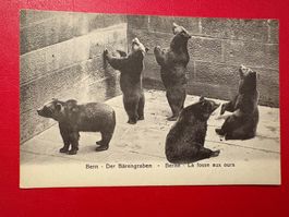 Bern - Der Bärengraben