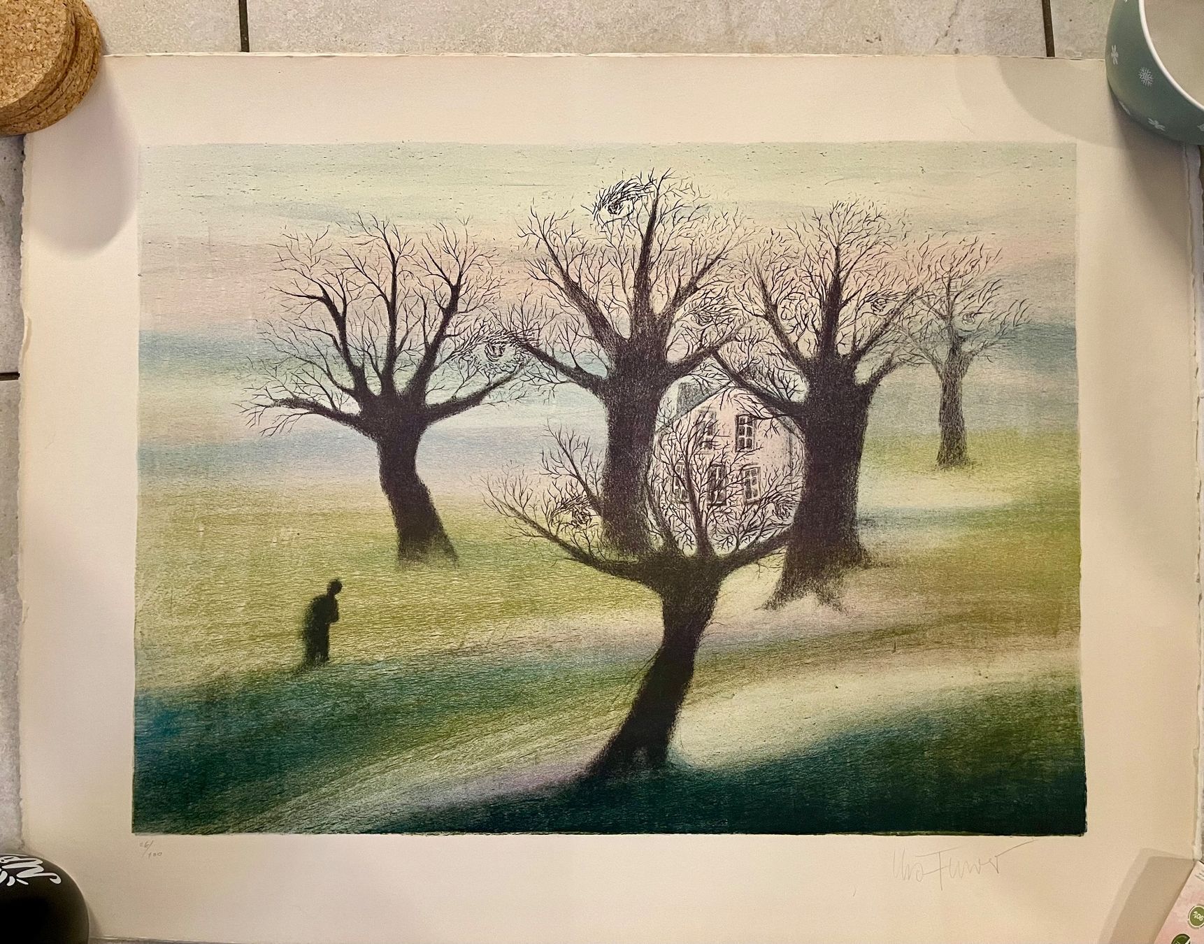 Grafica & Litografie: Urs Furrer Lithographie, nummeriert, mit Unterschrift – Usato da Dänikon ZH venduto da Zrhbna 3