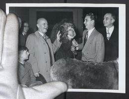 Fotografie Düsseldorfs Direktor der nat
