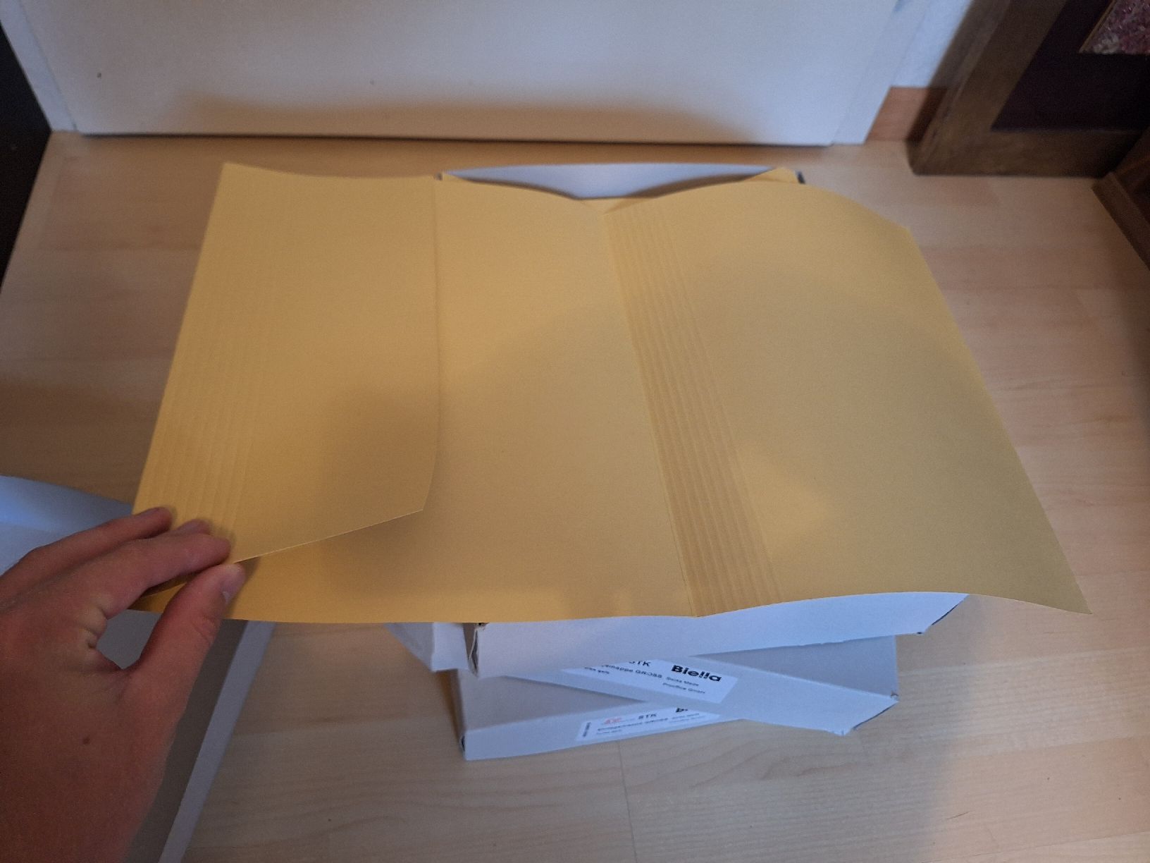 Biella Raccoglitori: 150 Biella Einlegemappen Gelb – Nuovo e nell'imballaggio originale da Ipsach venduto da nik_6hkj
