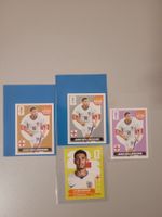 Bellingham – Extra Silver, Bronze & Violet Panini FIFA 2026
