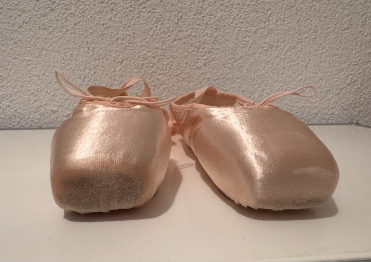 Scarpe da donna: Ballettschuhe Spitzenschuhe Gr. 5.5 (ca. 37) – Usato da Wilderswil venduto da Renaissance1 6