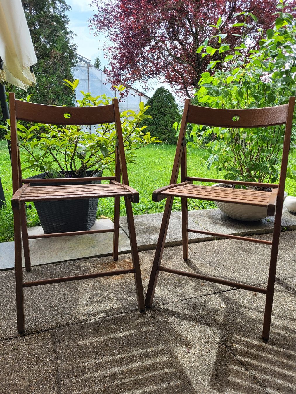 Ikea Sedie: Ikea Klappstuhl Holz Terje – Usato da Frauenfeld venduto da fra_6vr8