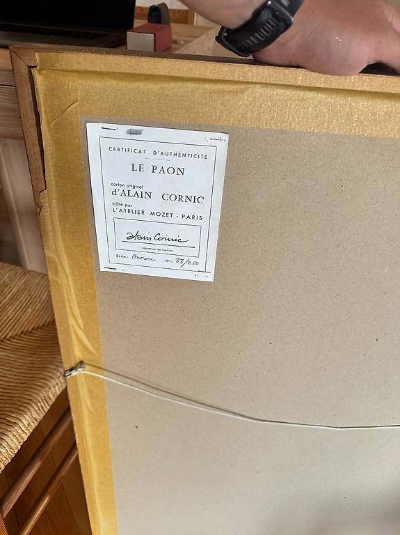 Dischi in vinile: Vintage Needlepoint Tapestry "Le Paon" by Alain Cornic  – Usato da Genève venduto da bau_jy7x 2