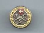 TCS  Pin (klein)