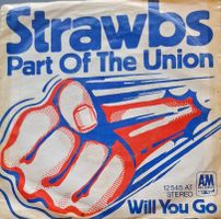 Vinyl-Single Strawbs - Part Of The Union