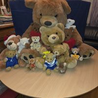 Grosse Teddybär Sammlung! 🧸 15 Stück, bis 65cm gross.
