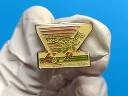 Pin Dino - Box 41