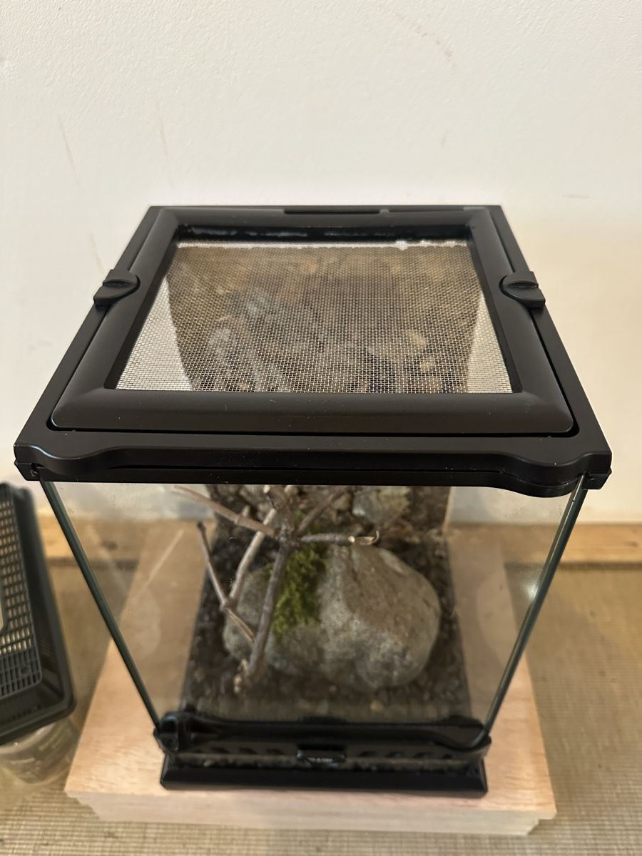 Terrario: Terrarium Exo Terra – Usato da Russikon venduto da vwbuss87 4