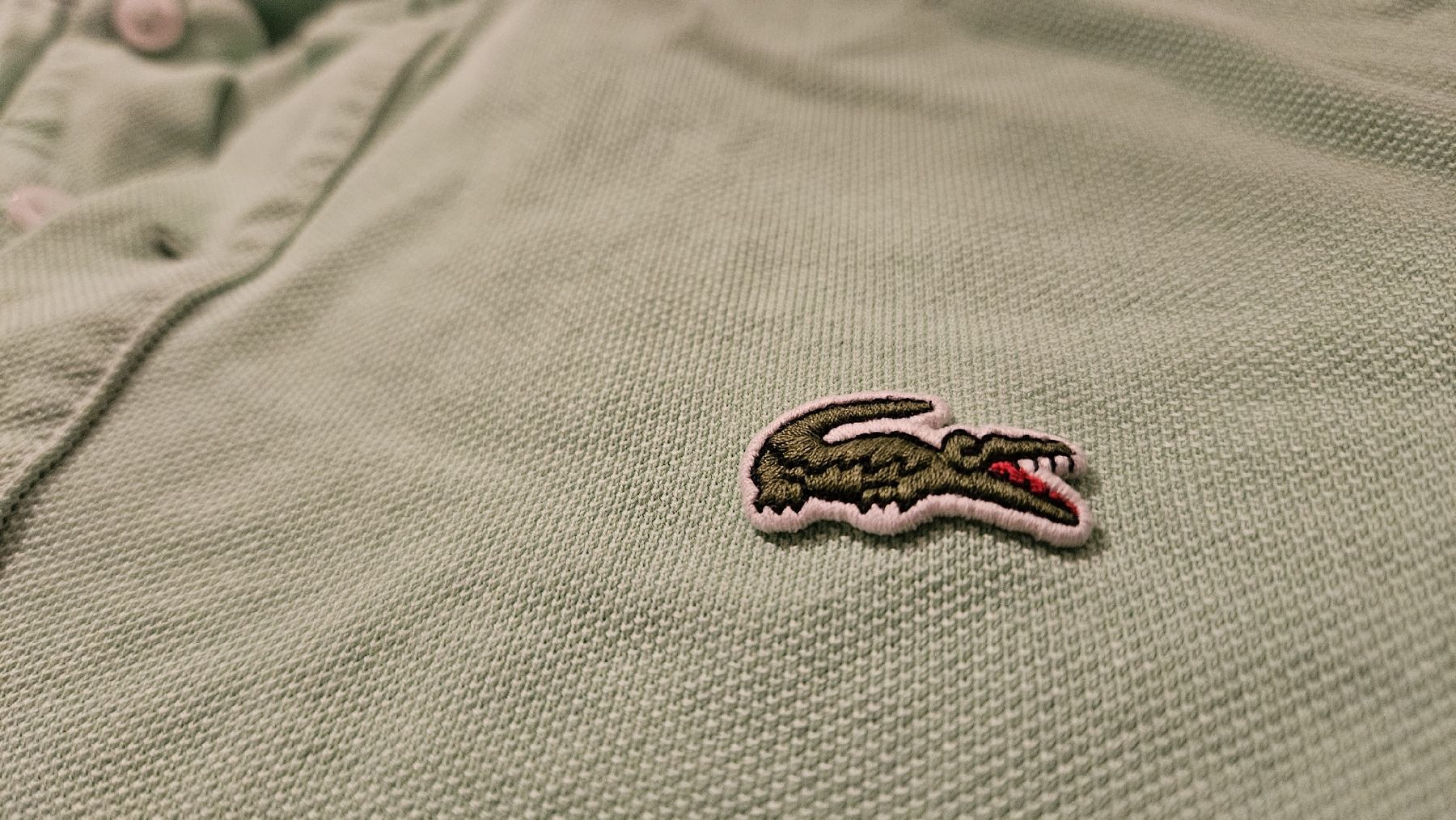 Lacoste Magliette Polo: Lacoste Shirt Hellgrün (gebraucht) – Usato da Grenchen venduto da Manuel.We 1