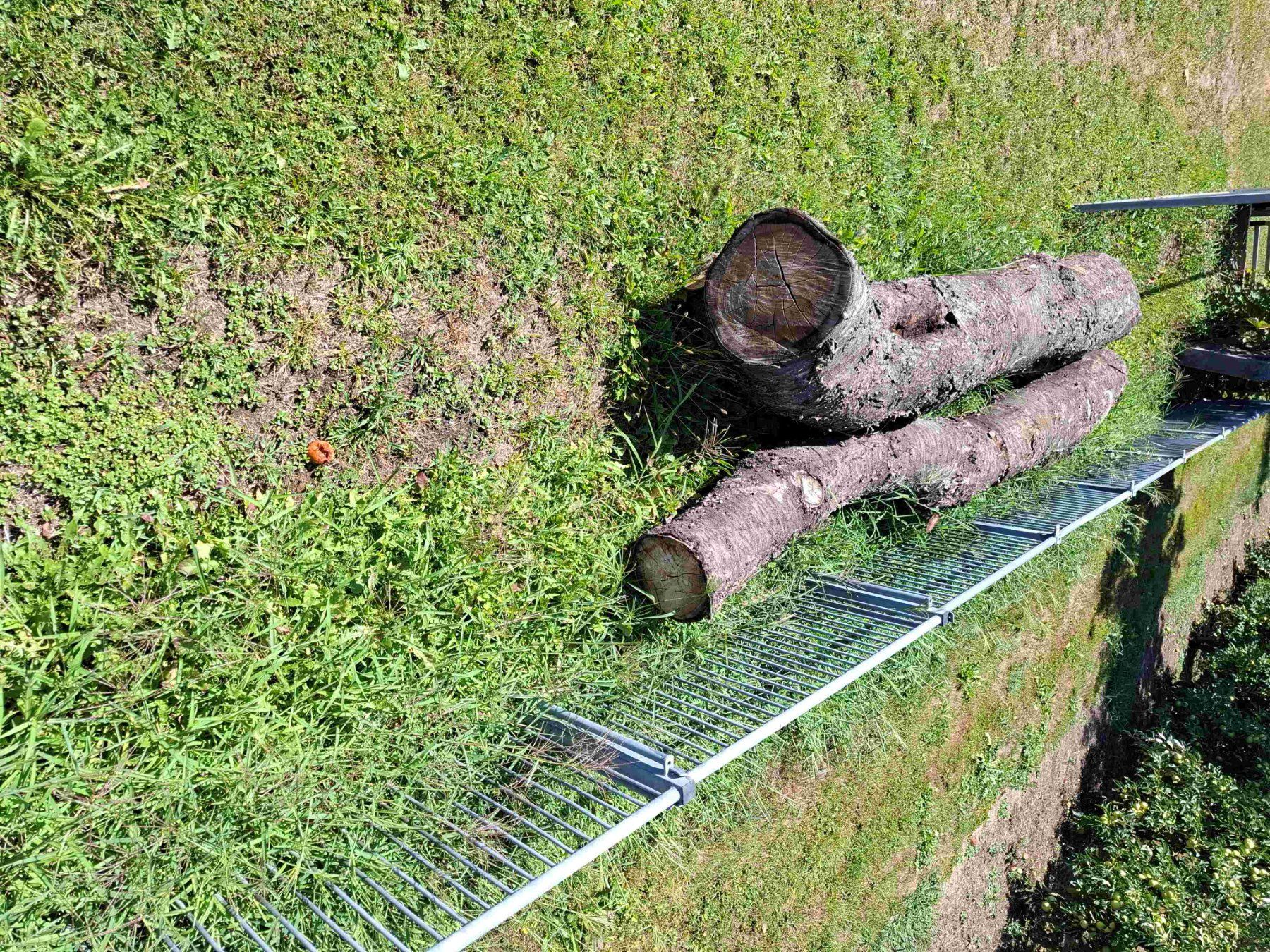 Holzartikel: Baumstamm Kirschbaum – Gebraucht aus Rain von Rigi10 4