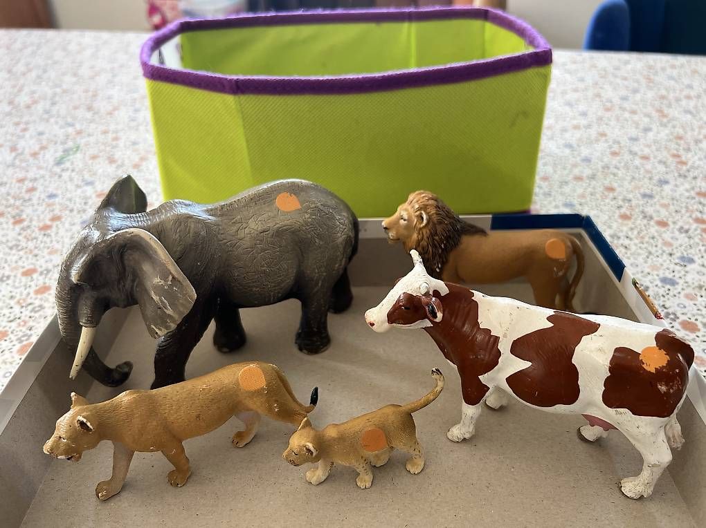 Giochi: Tiptoi Tiere – Usato da Winterthur venduto da kayas13