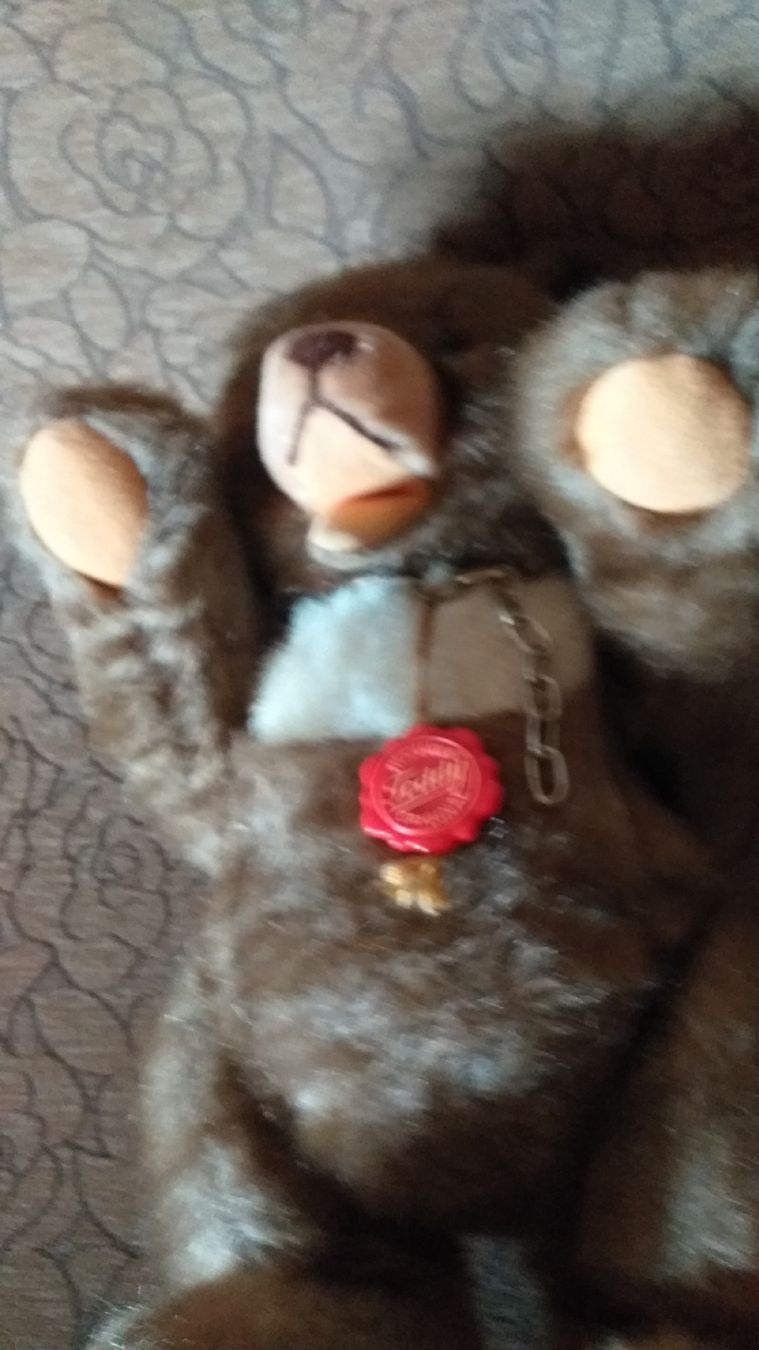 Teddy Hermann Spielzeuge: Hermann Teddy – Gebraucht aus Wünnewil von 04Blume 1