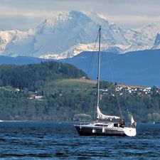 Profile image of SeeSell