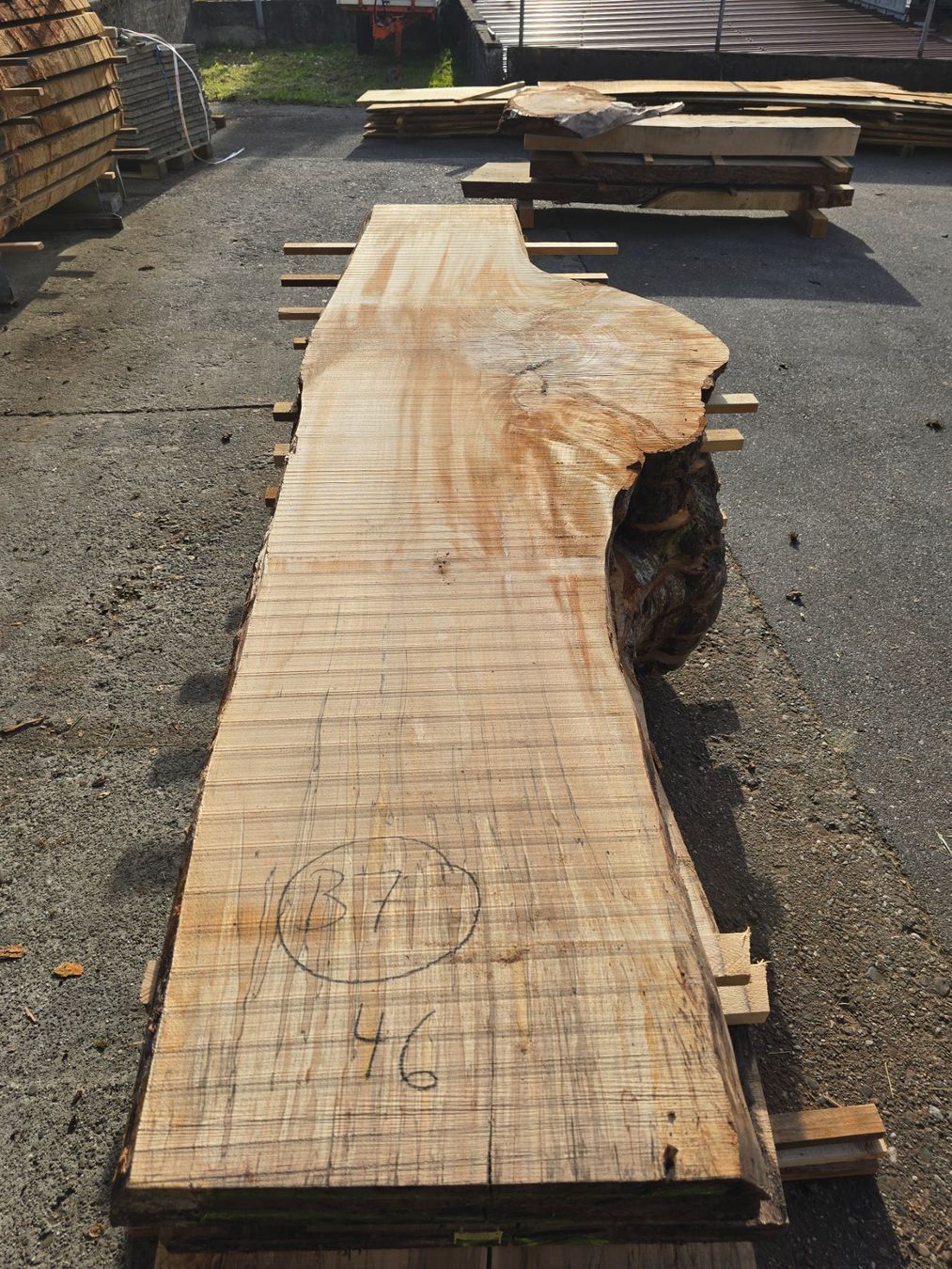 Articoli in legno: Buchenknollen Brett – Nuovo (secondo la descrizione) da Ramsei venduto da Waelchris 1