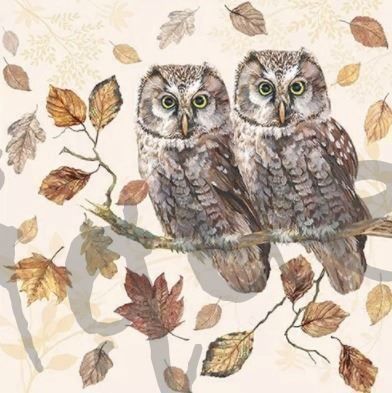Tovaglioli: Serviette owl couple (1454) 2Stk. – Nuovo (secondo la descrizione) da Schlatt TG venduto da kreativ-atelier