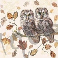 Serviette owl couple (1454) 2Stk.