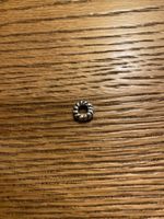 Pandora Charm