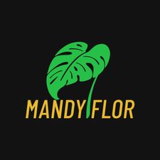 Profile image of MandyFlor