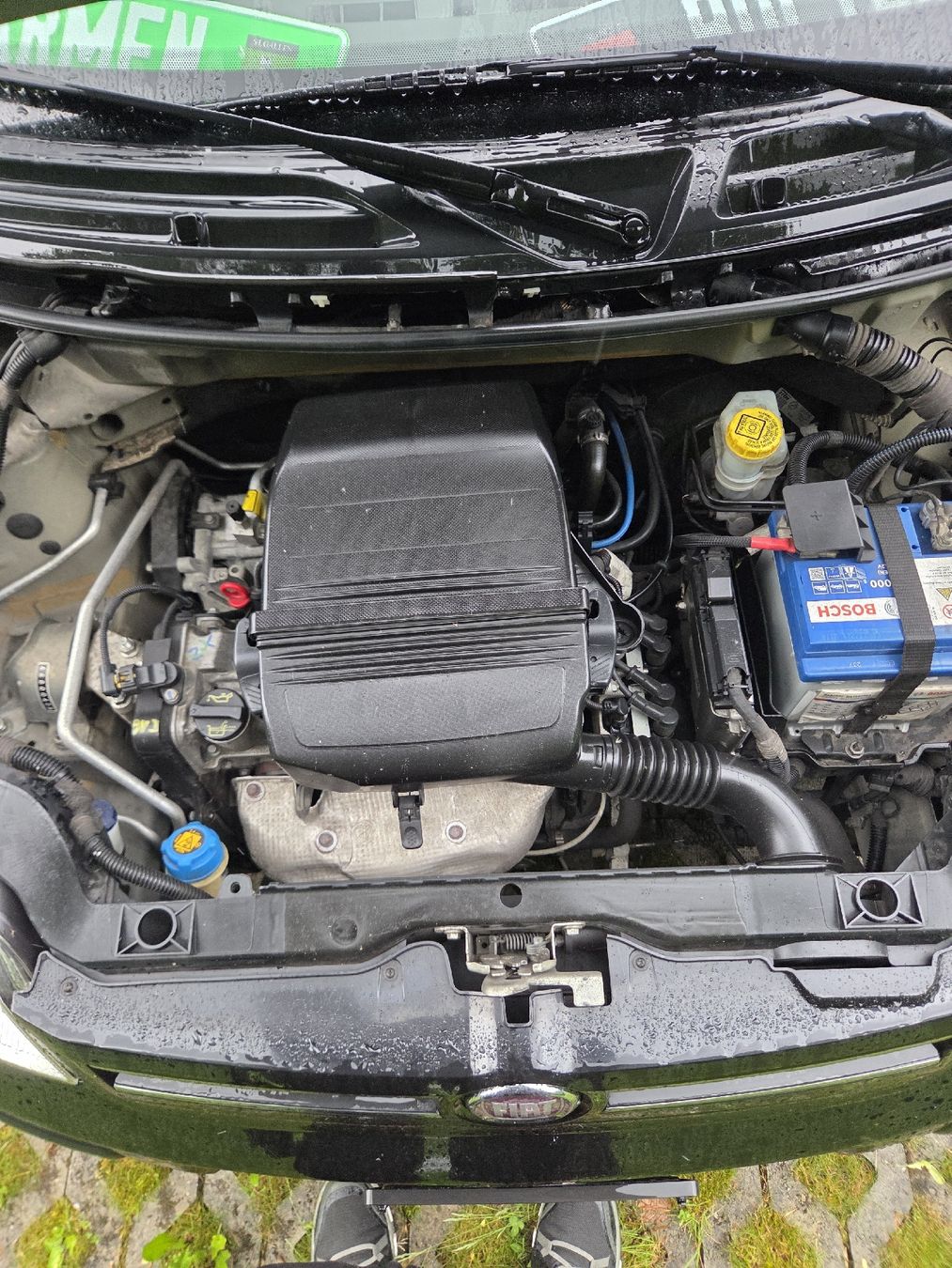Fiat Automobili: Fiat Panda 1.2  – Usato da Dussnang venduto da Patrick18001600 6