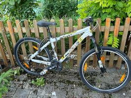 Jugendfahrrad Scott