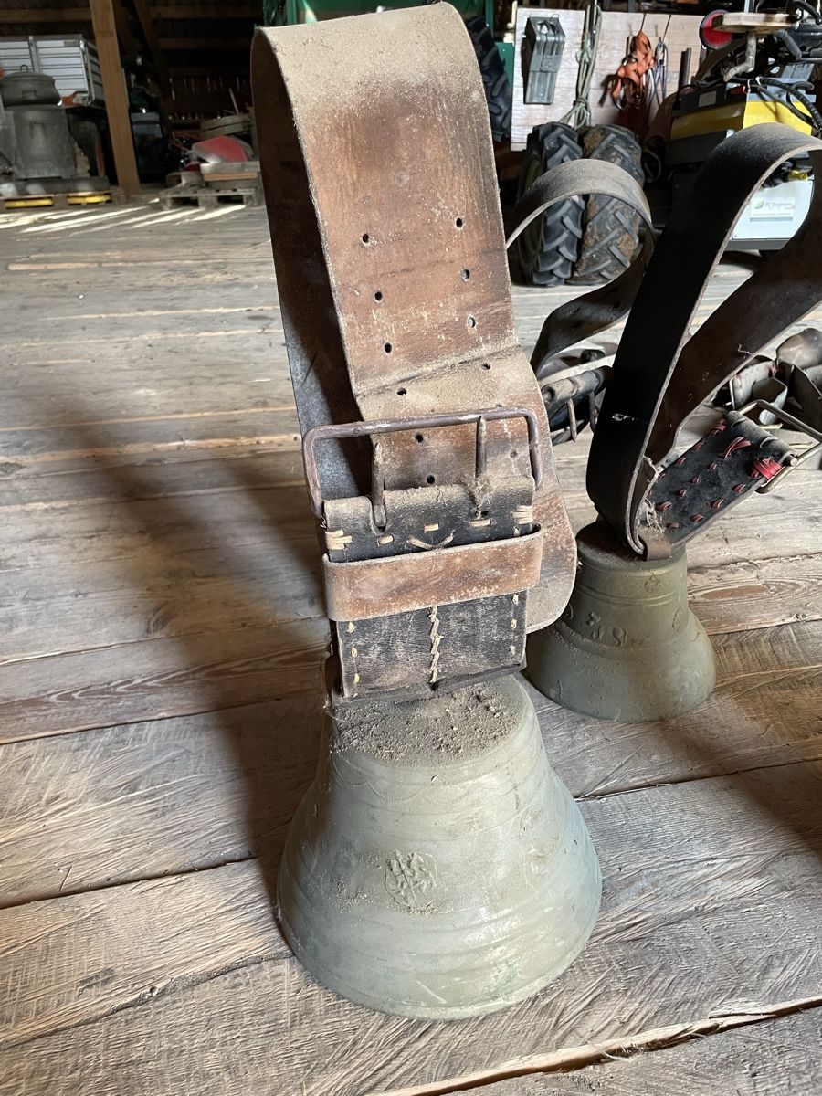 Glocken & Treicheln: Glocken, Schellen grosser Posten! – Gebraucht aus Burgistein von hac_72zv 5