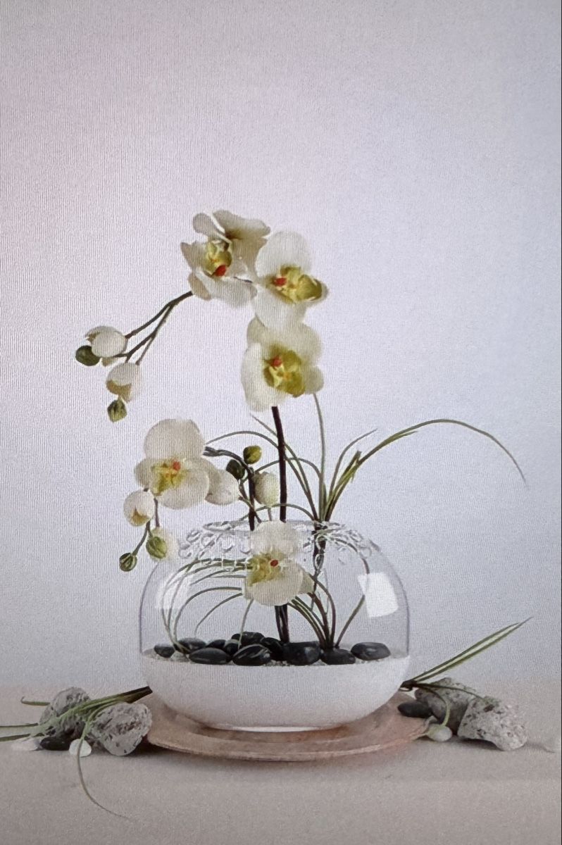 Vasi & Recipienti: Blumenvase Velou Ovalvase XL Set – Nuovo (secondo la descrizione) da Bern venduto da Zeiseli