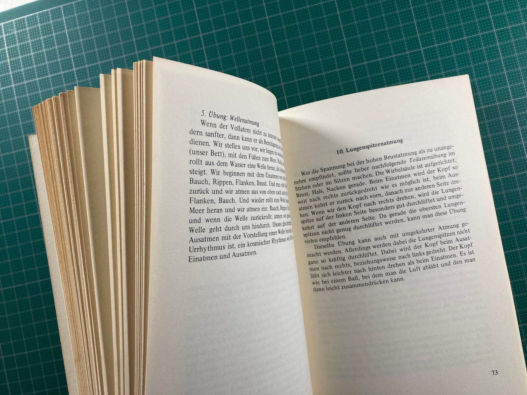 Libri: Annamaria Wadulla: Bewusst Atmen - Besser Leben – Usato da Lenzburg venduto da fh1 8