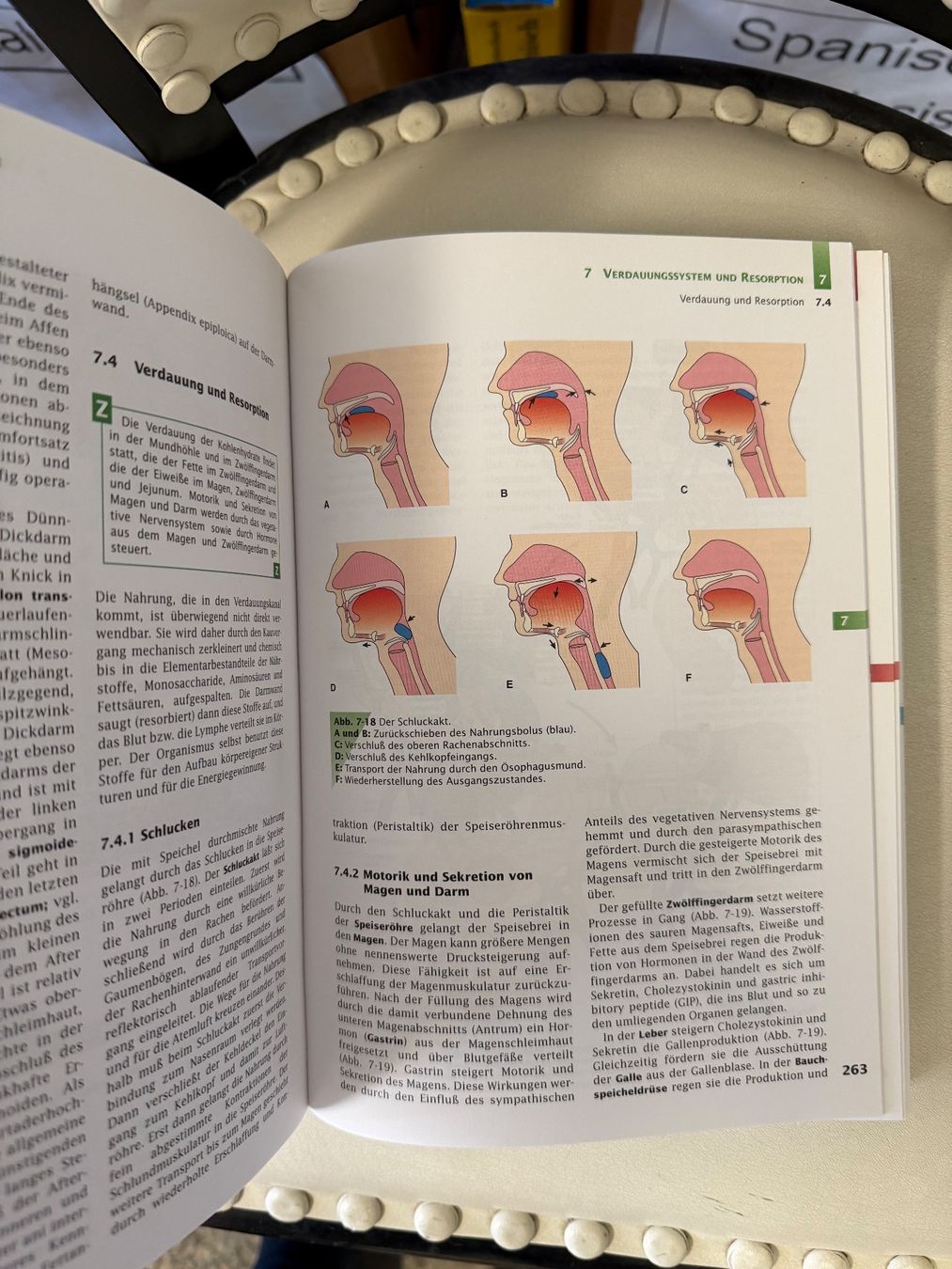 Bücher: Handbuch Anatomie – Gebraucht aus Dietikon von Buchantiqdietikon 3