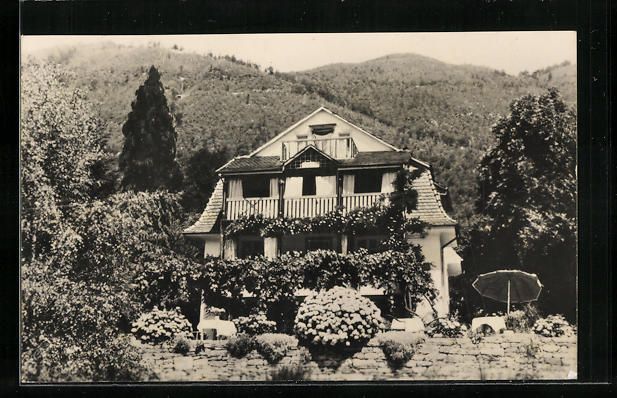 Cartoline postali: Locarno, Pensione La Collinetta Monti de – Usato da Berlin venduto da bartko-reher