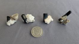 8 Stufen mit Turmalin, Muskowit & Feldspat (Set 1)