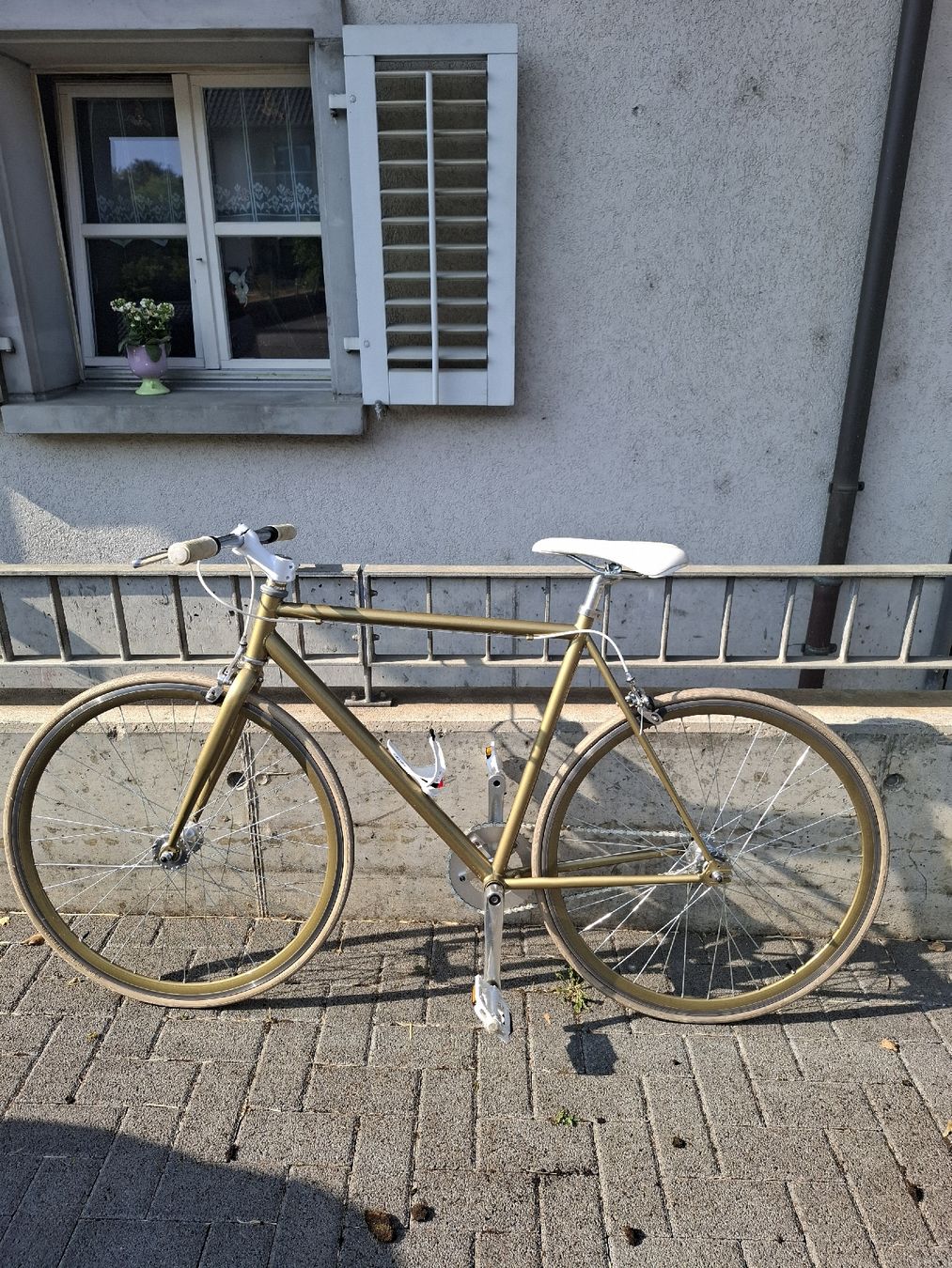 Velos: Singlespeed Velo – Gebraucht aus Hornussen von sagana2