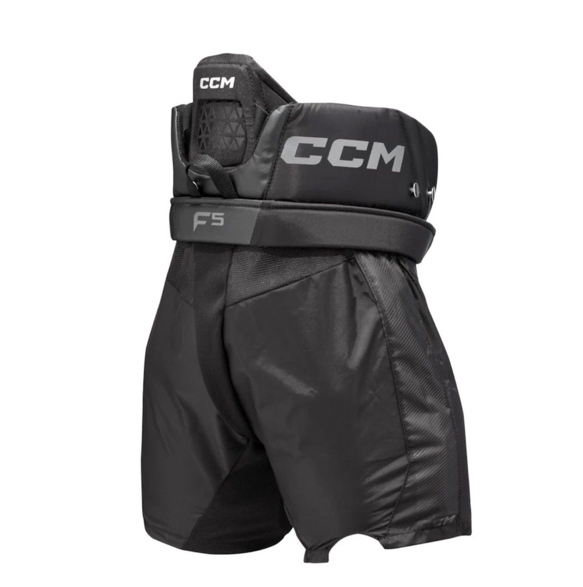 Ccm Pantaloni: Goalie Hose CCM Tacks C5 (wie neu) – Nuovo (secondo la descrizione) da Küssnacht am Rigi venduto da Andy-C 2